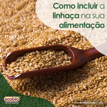 Como incluir a Linhaça na sua alimentação